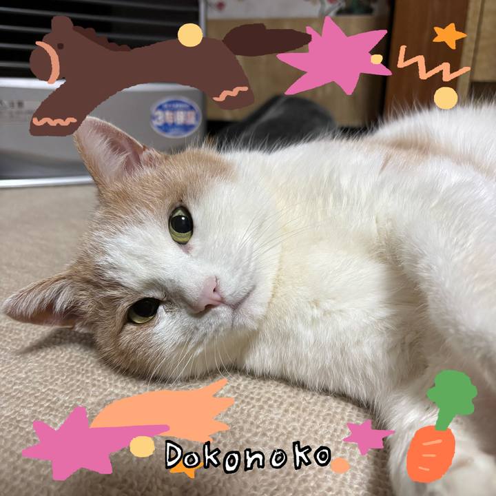 3e97809f 8c66 4528 ba25 516ff3608fd7 1772279044956