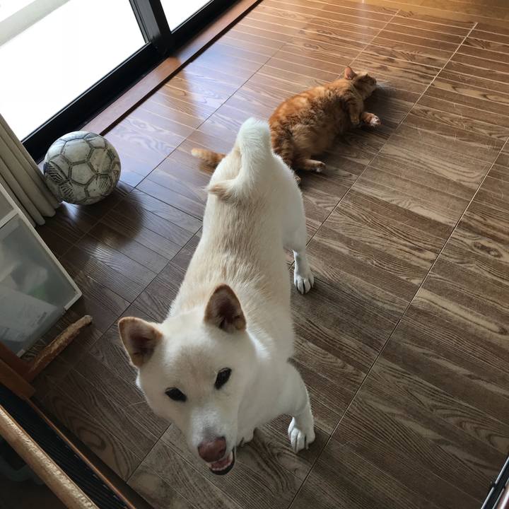 3e97b9e3 978b 4dce 88d2 bdca180d2106 1535085380972