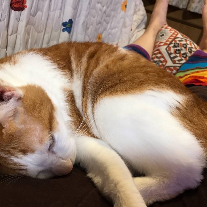 3e97bea0 2260 4e75 8ac2 4f78f952aa08 1601805370289