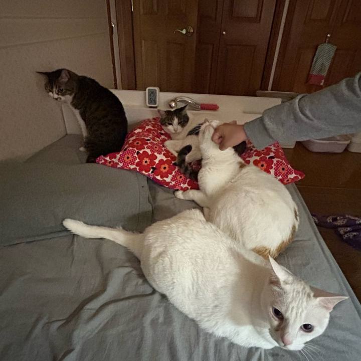 3e97c8e9 590c 457a a70e 0ec777d0c2ec 1682862871175