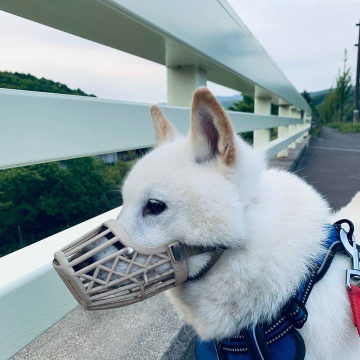 3e97cf37 e114 4bee aec6 52eb7bc3ea39 1622581040146