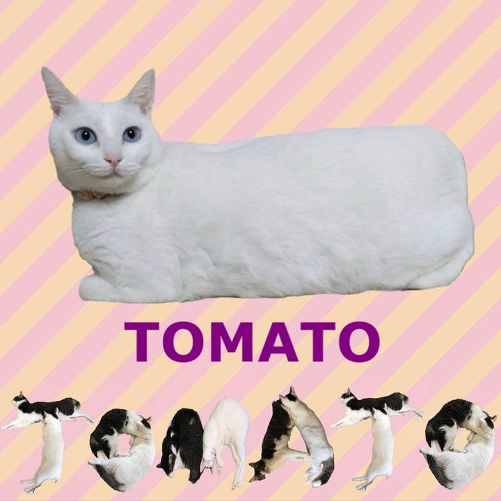 3e980efb 948e 4dc0 97d2 1d21fb22d414 1667437822568