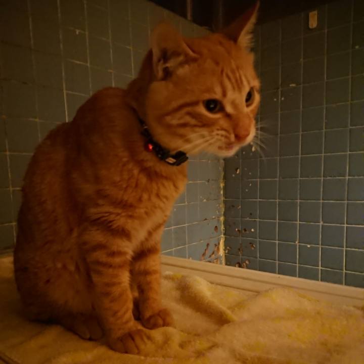 3e983d61 e3d2 4d30 a643 b9f8dc4c5e0a 1638873062842