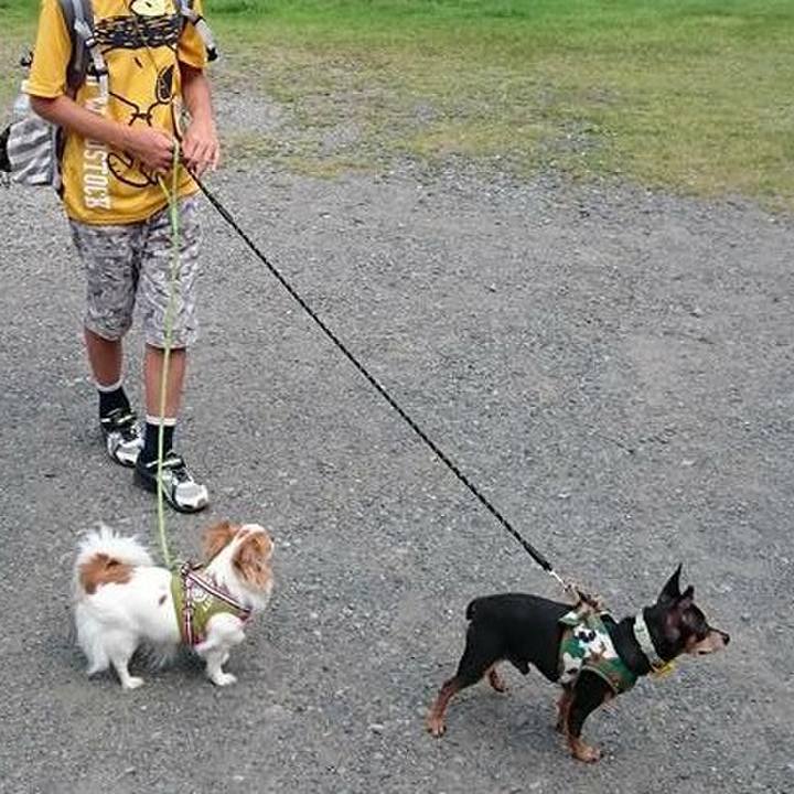 3e983ecc 4d5a 4884 b1be f8a44f61e450 1565410119031