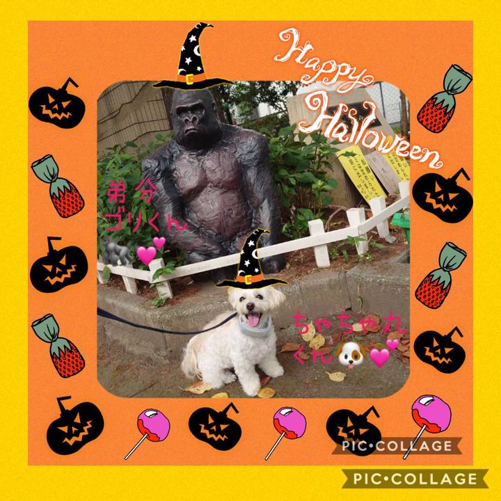 3e98a81f 79bb 4cf0 a007 47d9959d586f 1572272770743