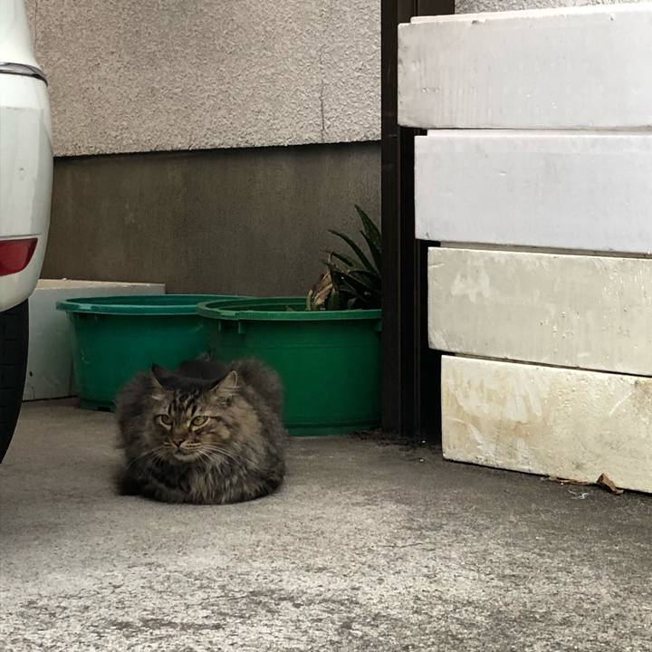 3e98c5b2 4718 4f81 a4ea 77313b622240 1536838417465