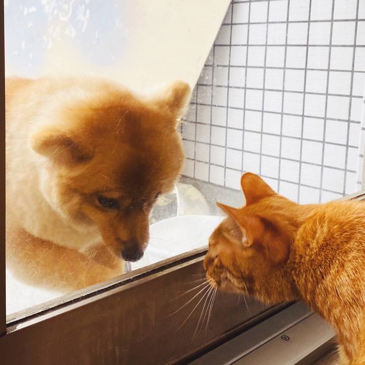 3e9901ce f9ea 4fb8 a007 e564fdd4f7e9 1592823975674