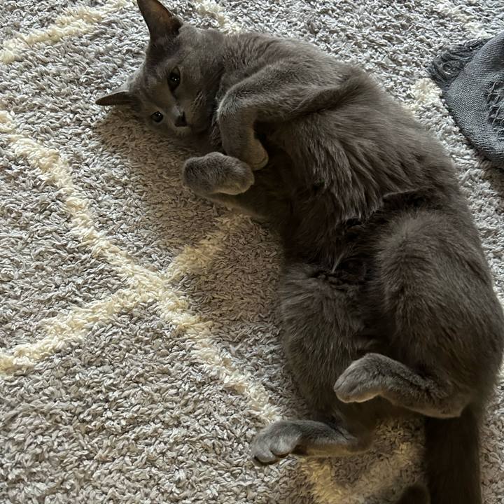 3e990436 15a4 49fe 9bea 7223f6cb7613 1695854981722