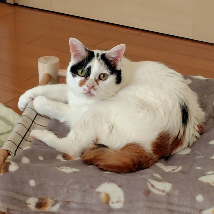 3e9908ed 2d31 48ba a904 b80259fd133a 1764890261083