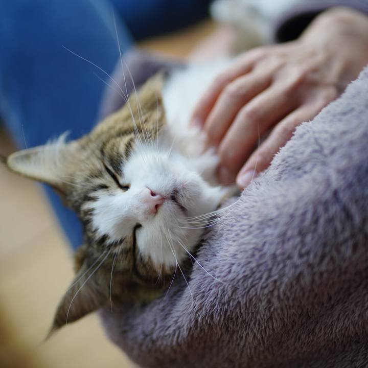 3e992a2b 073d 4907 aa34 027dc422eb73 1677917582576