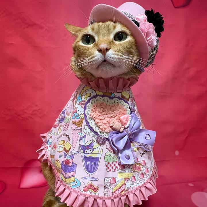 3e992c2d afde 4062 b932 e3886dec3df8 1771025778970