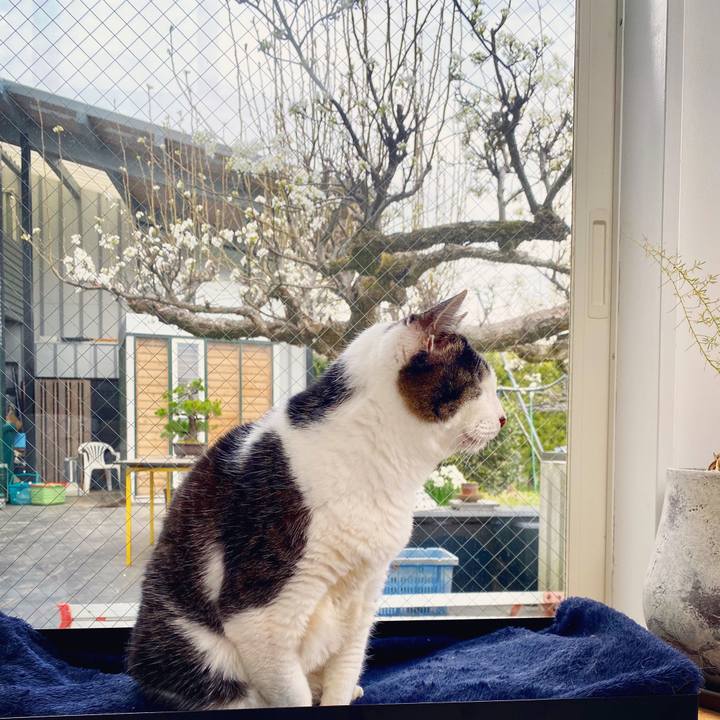 3e99432c e27d 4834 98b5 43c7976d8419 1585369390224