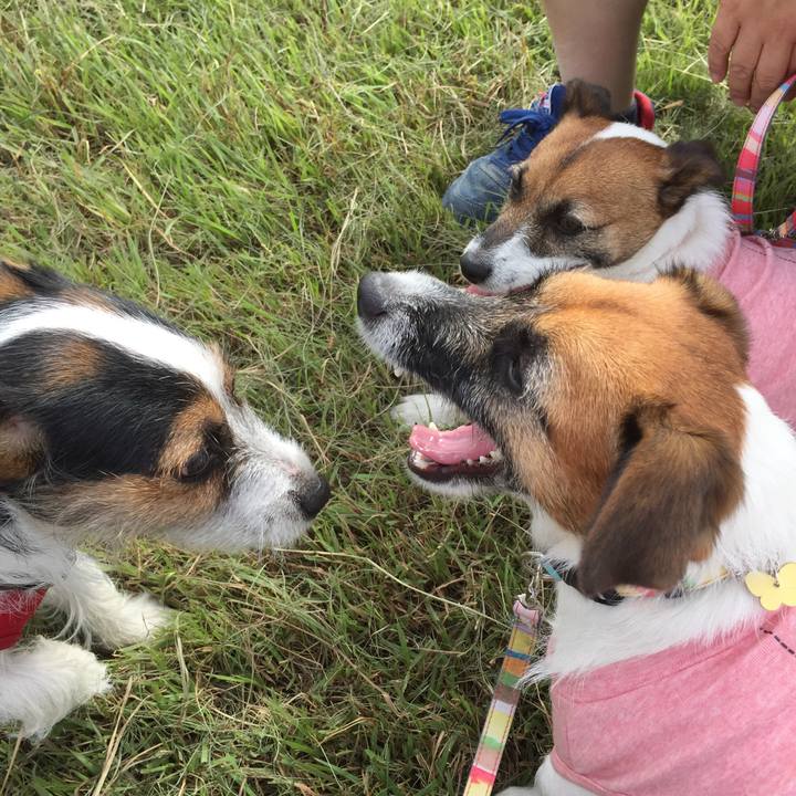 3e995969 16d4 46ec a313 04217fafdbe2 1539408688192