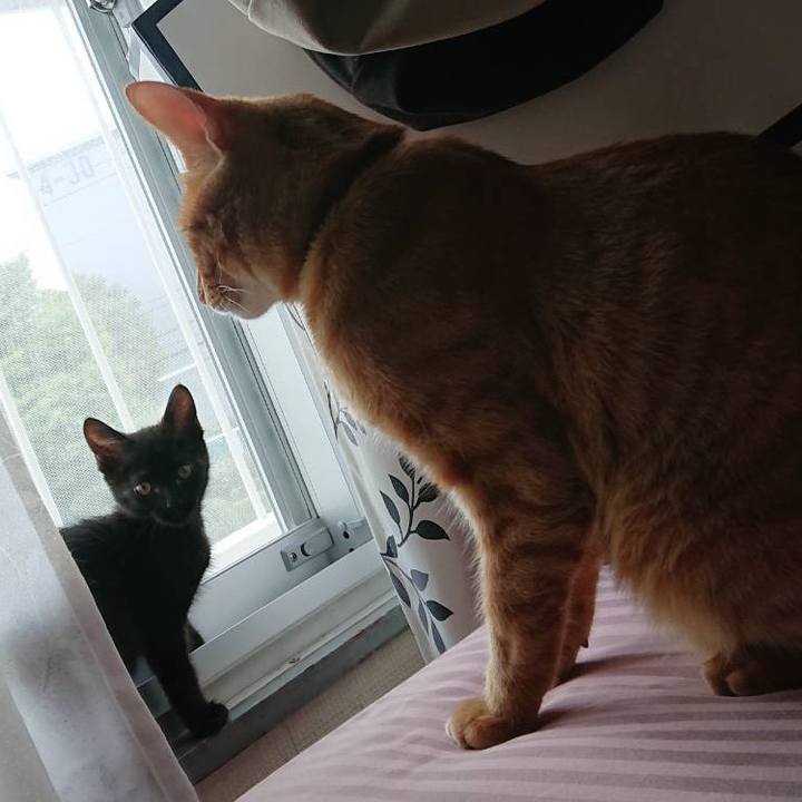 3e995b2b 18dc 4007 95bd ad29d629520e 1595799825805