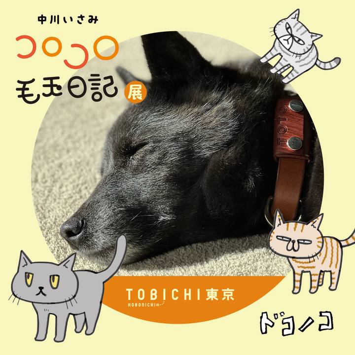 3e997177 a2d6 4043 9193 c1e2acf27f85 1740211678495