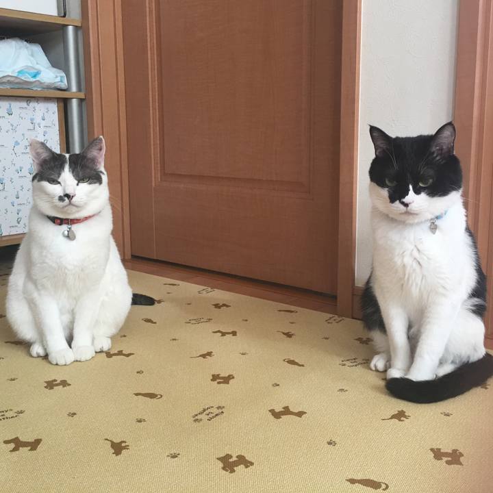 3e99c242 b2b9 4ecd 882e f173a8f57f1f 1514169044421