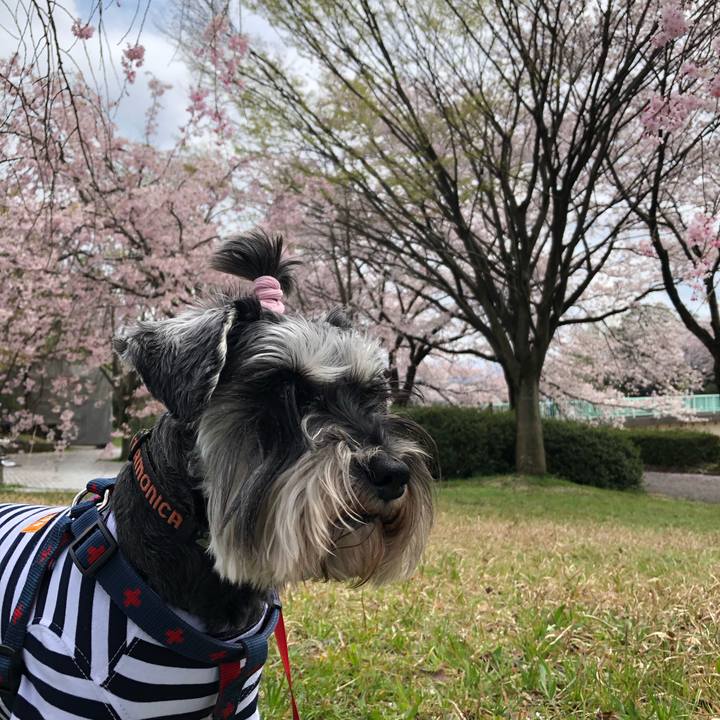 3e99d56a f434 4758 980a 0faa506aa227 1617530615874