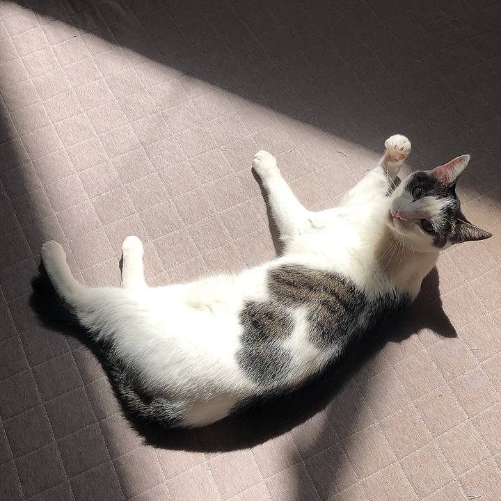 3e99dadc 5e7a 4f65 a6a2 b3efb7de479c 1647410278523