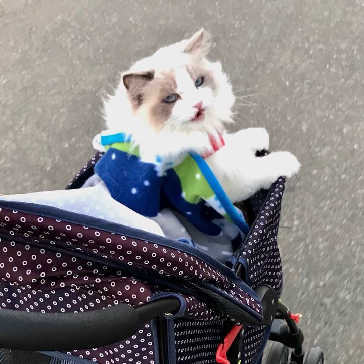 3e9a3ce0 d0dc 484b b177 3f214b5c1c87 1637097935331