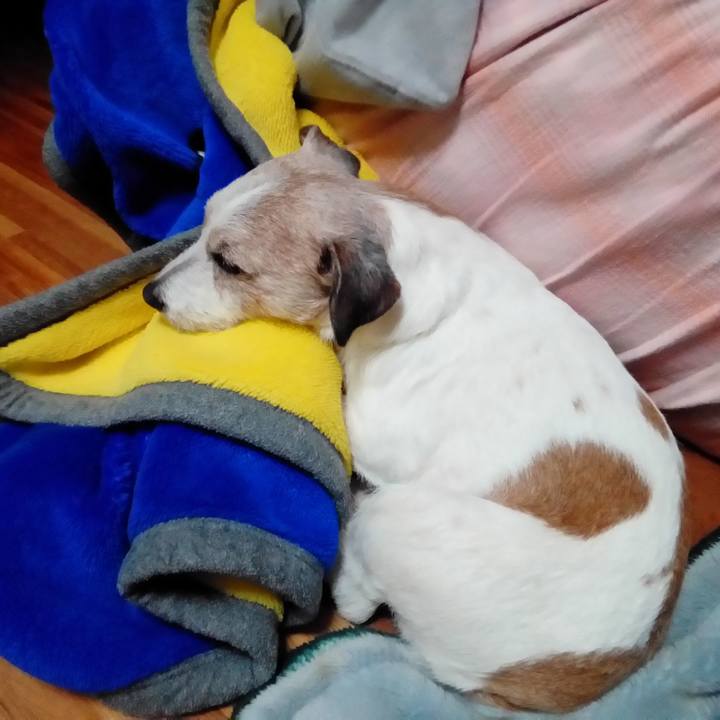 3e9a414d 2a57 4dcf bef5 82398f64ea31 1584359355393