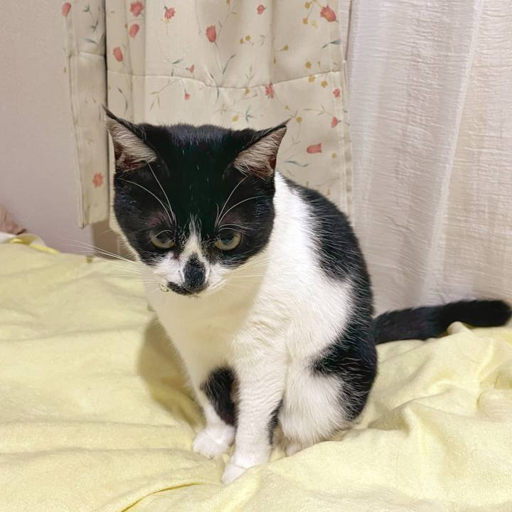 3e9a68a8 8e30 4dca 86e6 a28aceb50029 1759272737173