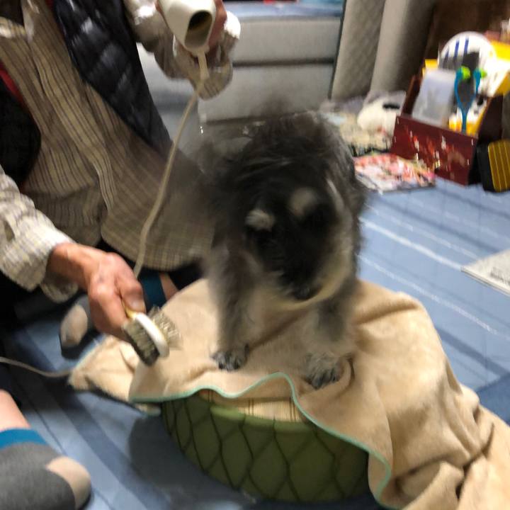 3e9a763b b473 4533 9329 eb1e2d0e4dc5 1698492304679