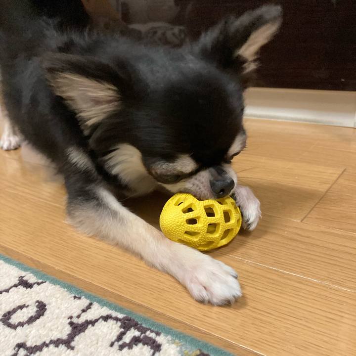 3e9aa5e9 3d62 4b02 8665 d2057eb2f207 1626531683644