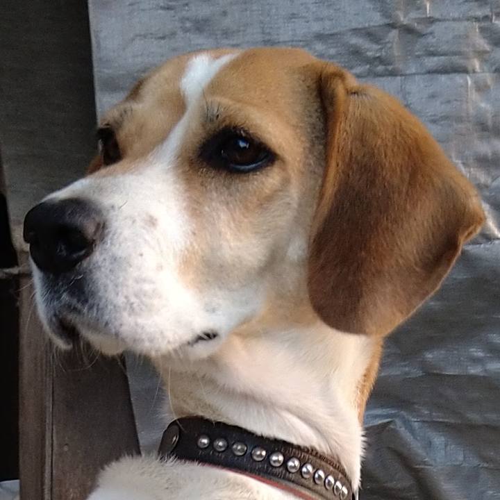 3e9aadcf 01e8 49b7 ad97 bf153e6addc8 1637386113153