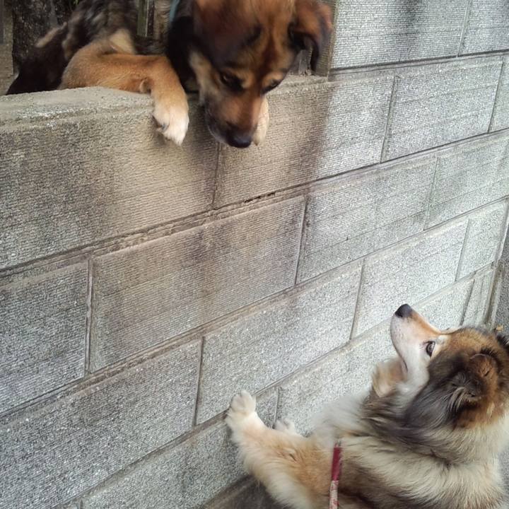 3e9aba18 df03 480f 8f65 1dab17544d3b 1616545338304