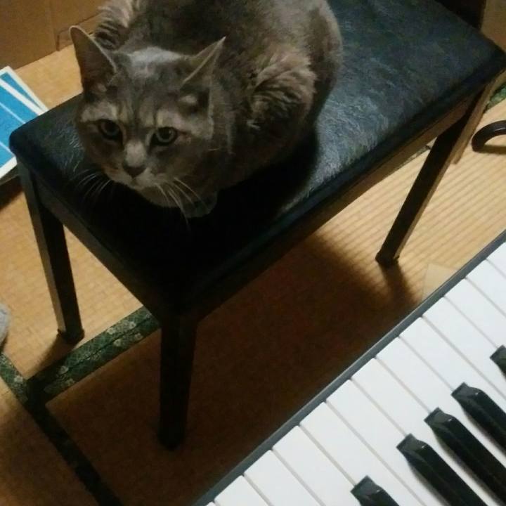 3e9af3e3 d33a 400d be3a 6828d0be59ec 1520585402176