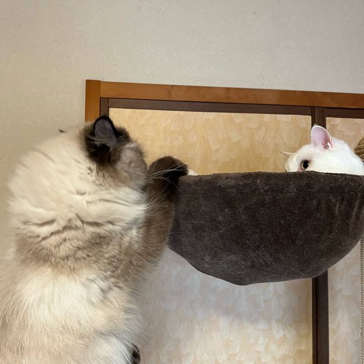 3e9b133f 70bb 4bca af1d 5e8e2e7db7c3 1664676917481