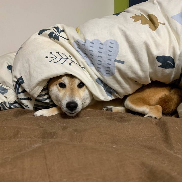 3e9b231b 1379 4f72 a91e c61e5b5cb8a6 1556320509389