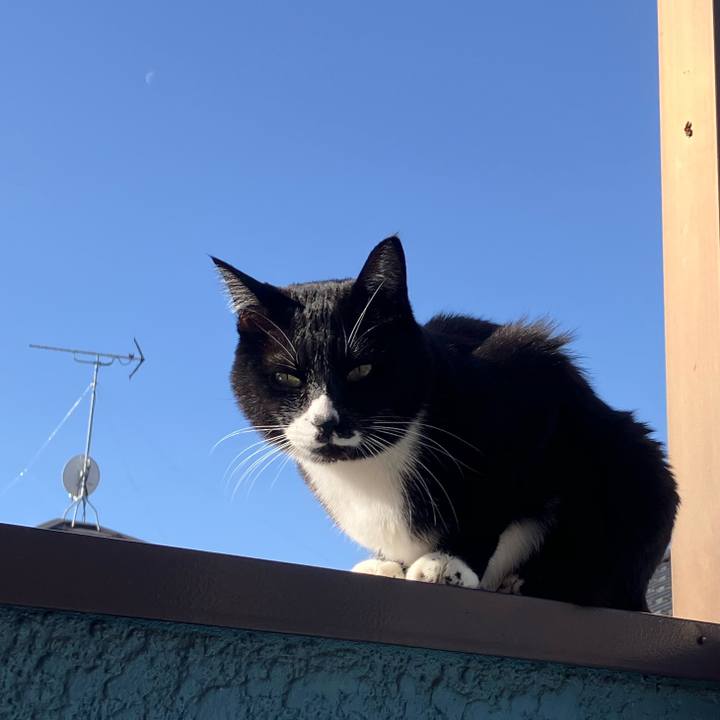 3e9b376e b79c 47f8 8c87 1112799067a3 1770263490319