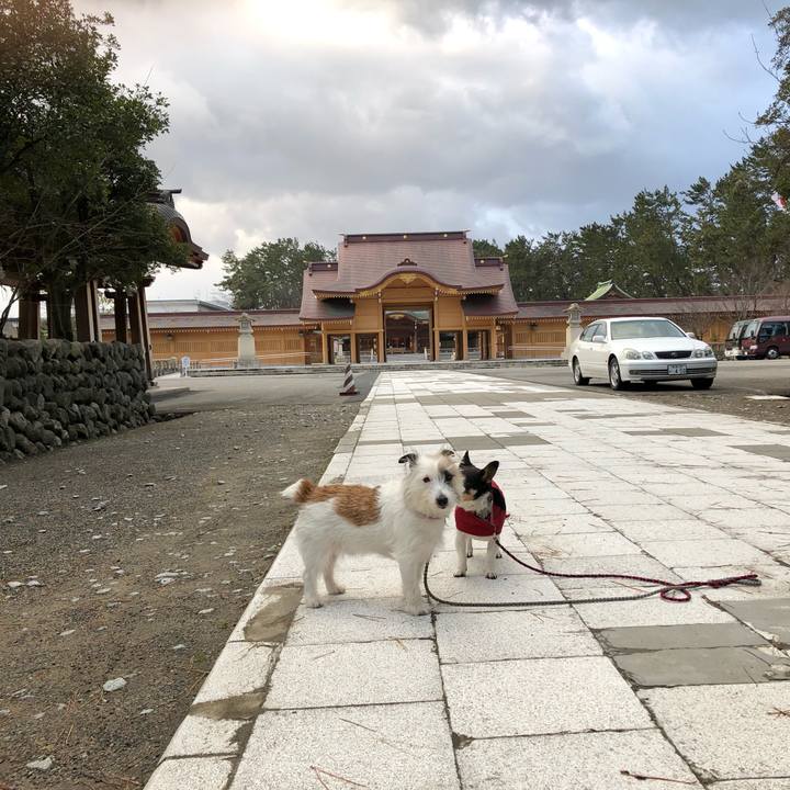 3e9b43db 6f03 44f0 b740 a6494a878414 1552518114733