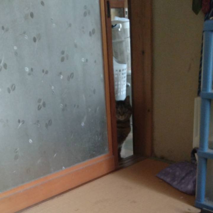 3e9b8d7f d32d 4745 aa4a 2abcc480137e 1715983793654