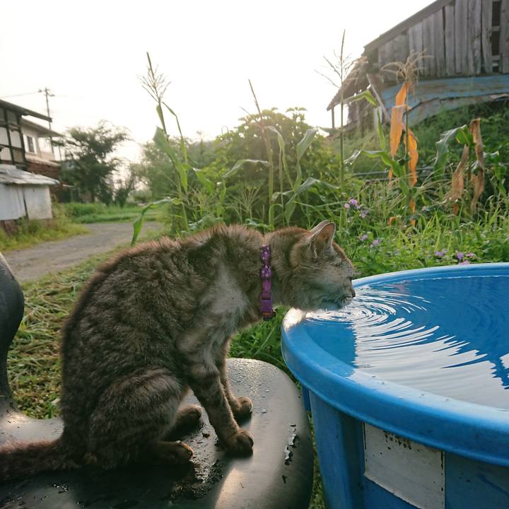 3e9be39c 7735 41ed 8892 139e0781e825 1598132507398