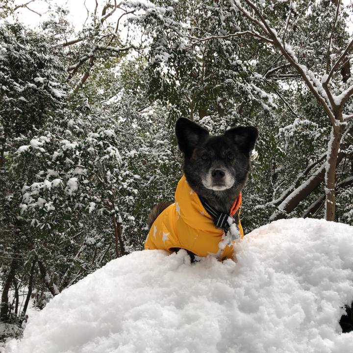 3e9bf06e 98a1 4272 9c40 d18af2cca456 1612524126925