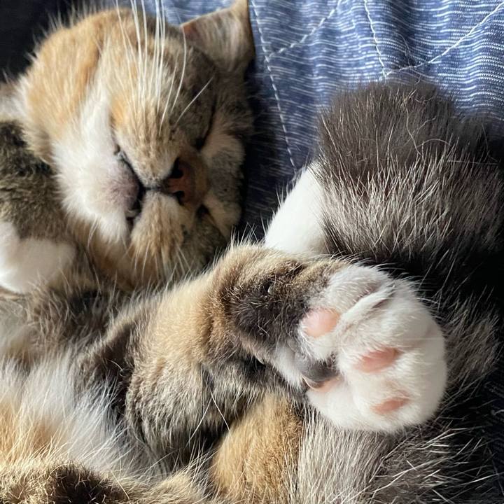 3e9c1415 1079 47d8 b5d2 a66246f9ecc5 1623081307848