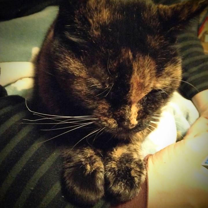 3e9c359f 78da 4cdd a619 b0af5e34c8af 1742042868937