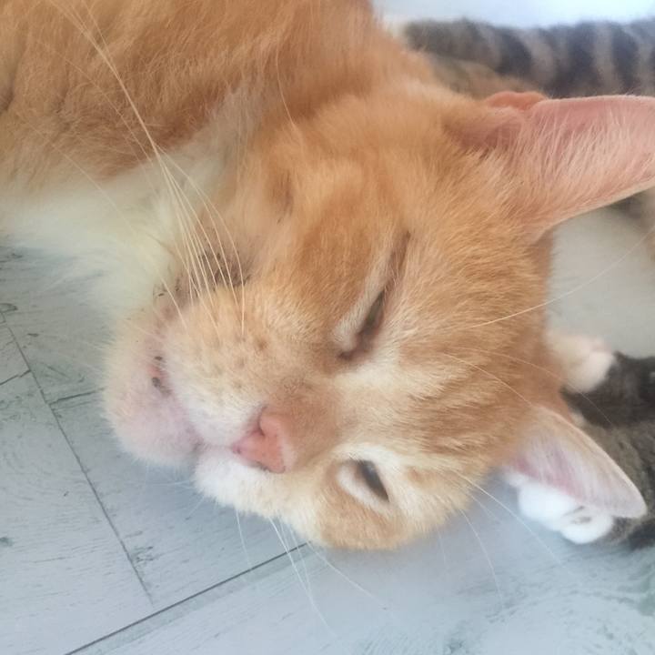 3e9c6b67 aa8f 4ec0 9336 84187359b184 1570257410934