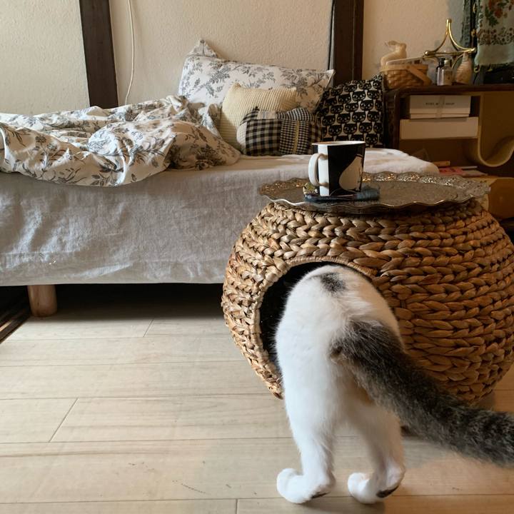 3e9c8993 71e2 4f3d acaf 06df1500ebfd 1597075173772