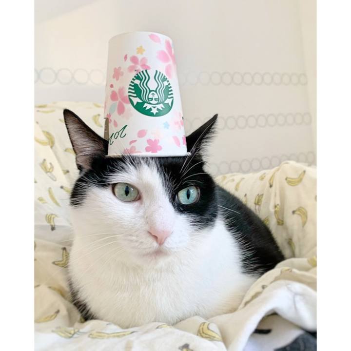 3e9d0b60 aab2 4e5f b941 6fcafbbede5b 1584498188030