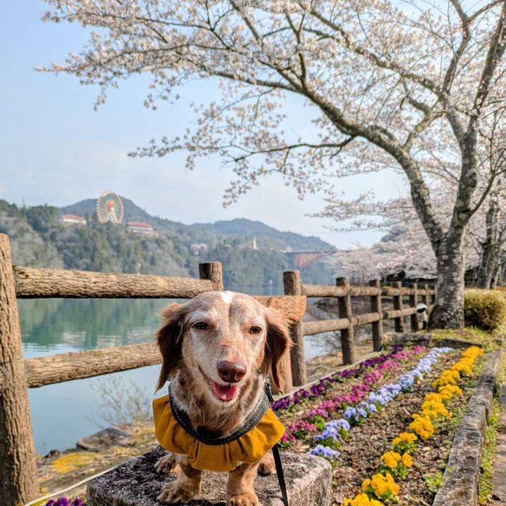 3e9d1d39 06d0 4827 ba8d 34adddff5022 1774831386674