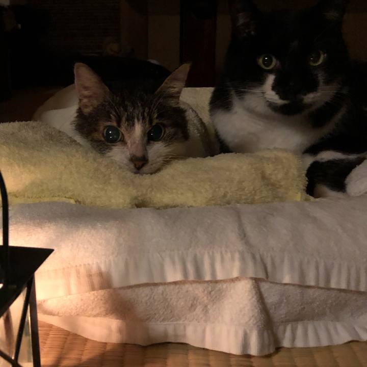 3e9d4dfa fd04 4070 a808 b87e8423f33c 1536416099769