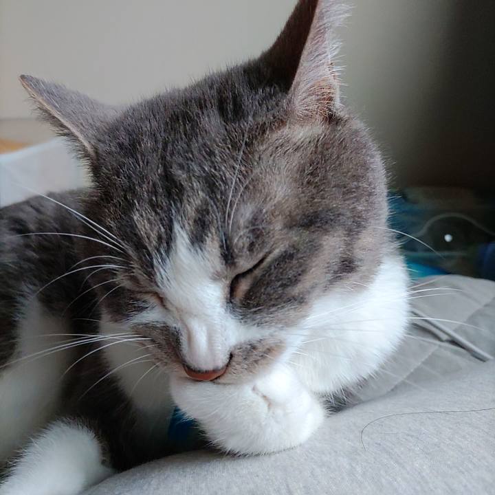 3e9d5cdf db7d 42c8 9e3f df92d2286879 1686088938585