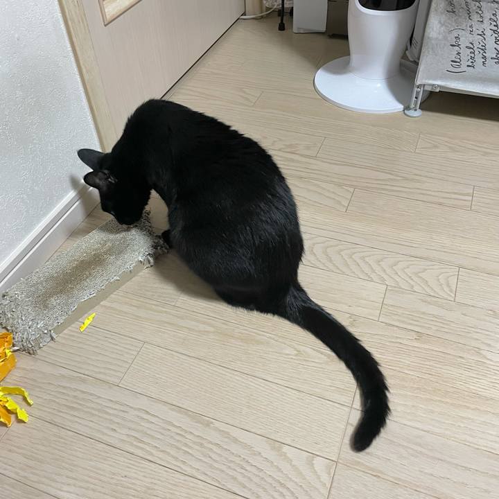 3e9d6ee9 a2f7 4fbd b97f 971c3272533b 1760867747598