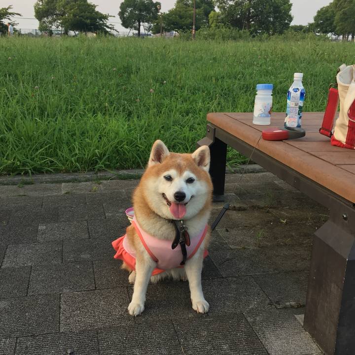 3e9d7cca ea34 4ef3 bd9b f81db1bd5112 1564893157328