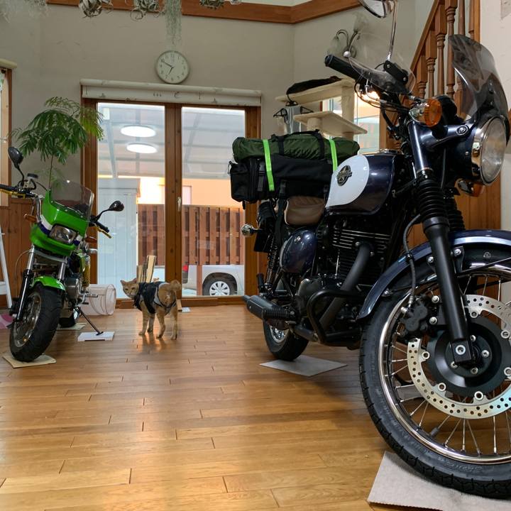 3e9d9cf1 8fb4 460f 9301 de13414d97df 1659088309784