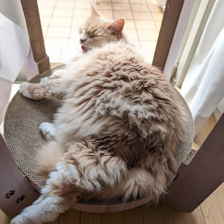 3e9dabce da5f 43d6 ae4e 3d7504e24015 1725876195979