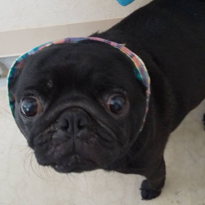 3e9dd147 921d 44c4 8671 0132dade8467 1561351051035